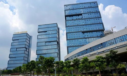 南寧經(jīng)開(kāi)區(qū) 運(yùn)用容錯(cuò)糾錯(cuò)機(jī)制激勵(lì)干部擔(dān)當(dāng)作為